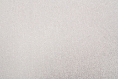 CAT_MACRO_PHOTOaI_HC31186-21_(1)