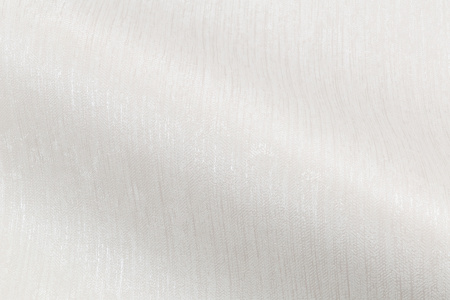 CAT_MACRO_PHOTOoI_PL81593-12_(4)