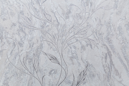 CAT_MACRO_PHOTOrI_HC11063-41_(1)