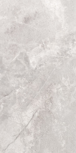 d0039ffd-4b2a-11ee-bbb8-00505693d103