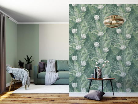 PHOTOuint_HC72242-77