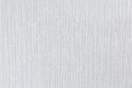 CAT_MACRO_PHOTOvI_PL81593-41_(1)