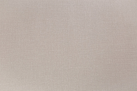 CAT_MACRO_PHOTOnI_VV72301-81_(1)