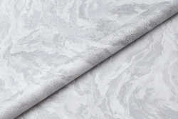 CAT_MACRO_PHOTOmI_HC72427-41zHC72428-41_(2)