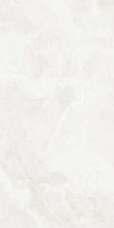 268300b4-b17d-11ef-bbf3-00505693d103