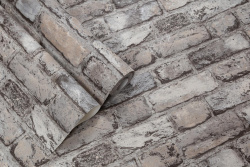 CAT_MACRO_PHOTOkI_HC72584-64_(5)