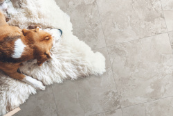 jwnycpbao8u7itqrj8rwgd42nkew7eoi