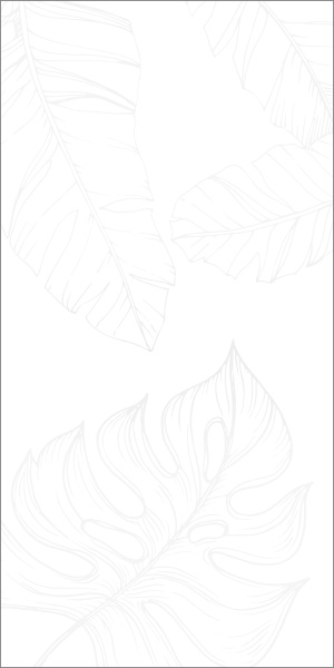 ba9f4356-b17e-11ef-bbf3-00505693d103 ba9f4356-b17e-11ef-bbf3-00505693d103