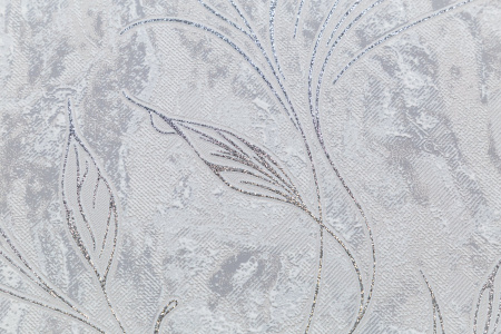 CAT_MACRO_PHOTOjI_HC11063-41_(2)