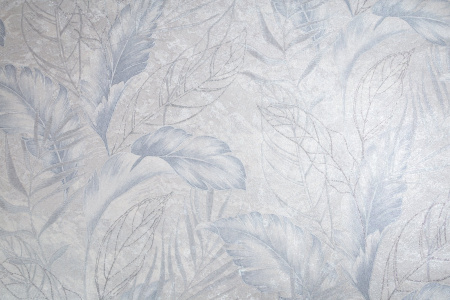 CAT_MACRO_PHOTOmI_HC72437-46_(1)