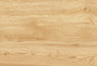 Vega%202