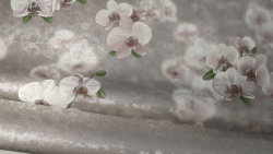 r60f5rmuh68cy56rkzqui69whz006ajm