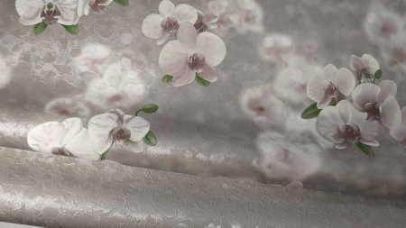 r60f5rmuh68cy56rkzqui69whz006ajm