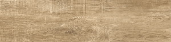 abeb7533-bf46-11ed-bbb1-00505693d103