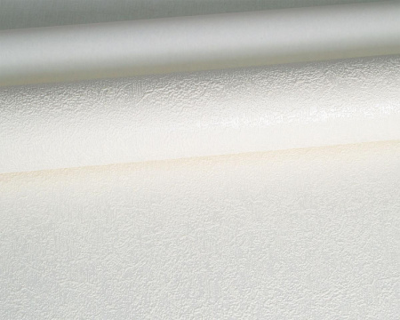 1365_image2021_big_2