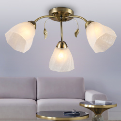 6a6dc29e8499dcdb5380ad3db77bdecc