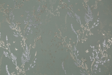 CAT_MACRO_PHOTOxI_HC72414-74_(1)