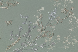 CAT_MACRO_PHOTOwI_HC72414-74_(2)