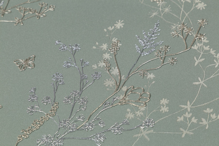 CAT_MACRO_PHOTOwI_HC72414-74_(2)