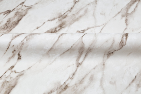 CAT_MACRO_PHOTOuI_HC72319-12_(4)