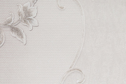 CAT_MACRO_PHOTOpI_HC31235-21_(2)