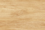 Vega%202