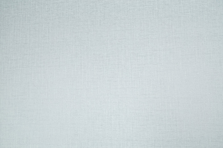 CAT_MACRO_PHOTOuI_HC31207-17_(1)