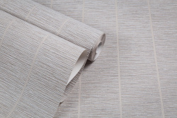 CAT_MACRO_PHOTOoI_HC11065-12_(5)