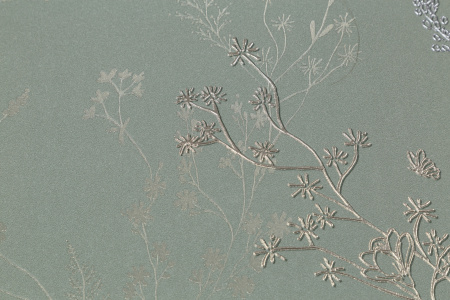 CAT_MACRO_PHOTOeI_HC72414-74_(3)