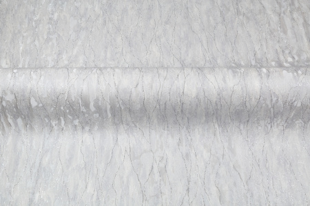 CAT_MACRO_PHOTOaI_SL72199-44_(5)