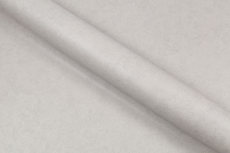 CAT_MACRO_PHOTOiI_HC72178-41_(5)