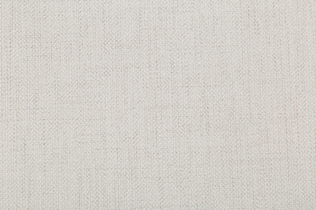 CAT_MACRO_PHOTOnI_HC31213-28_(2)