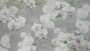 7q4690kul1cnnc0uvth2weklr9ownps0