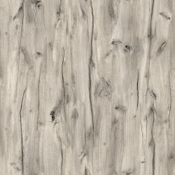 tmp824e1155ed137e024b302f178f1b88d3