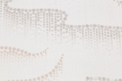 CAT_MACRO_PHOTOhI_PL72361-12_(3)