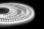 101807084