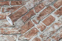 1913_image2021_big_6