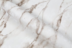 CAT_MACRO_PHOTOcI_HC72319-12_(5)