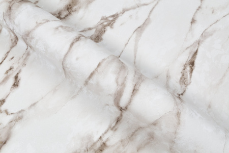 CAT_MACRO_PHOTOcI_HC72319-12_(5)