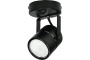 58616990