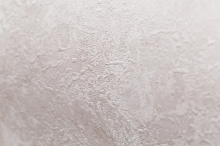 CAT_MACRO_PHOTOeI_HC72173-24_(5)