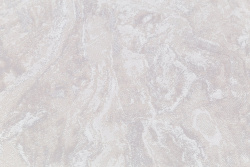 CAT_MACRO_PHOTOdI_HC11064-28_(3)