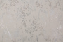 PHOTOdInt_HC72414-20