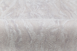 CAT_MACRO_PHOTOsI_HC11064-28_(4)