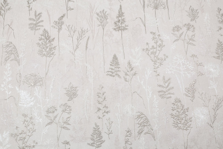 CAT_MACRO_PHOTOhI_PL72354-21_(1)