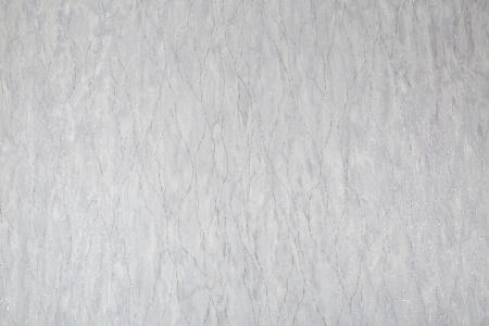 CAT_MACRO_PHOTOtI_SL72199-44_(1)