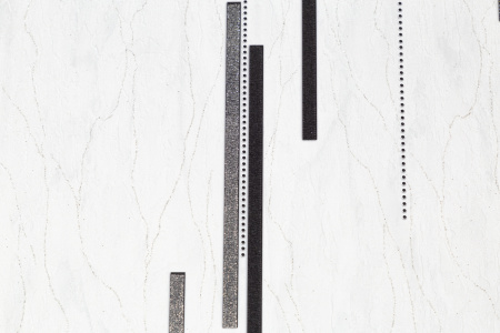 CAT_MACRO_PHOTOfI_SL72198-14_(2)