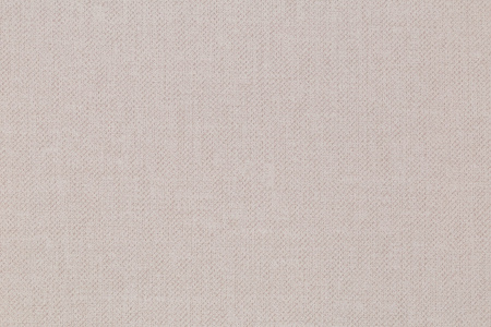 CAT_MACRO_PHOTObI_PL72362-24_(2)