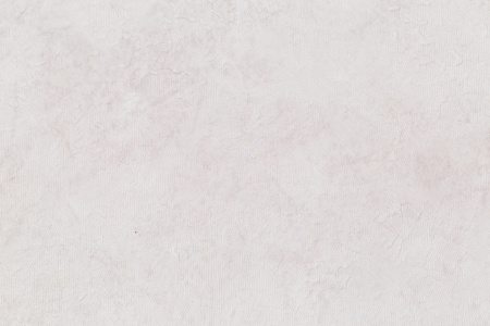 CAT_MACRO_PHOTOeI_HC72173-24_(4)