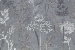 CAT_MACRO_PHOTOlI_PL72354-44_(3)